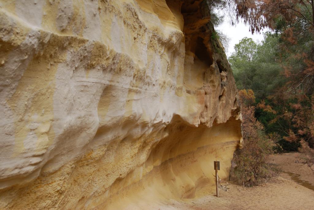 הוילה Los Altos Casa Punta Prima II מראה חיצוני תמונה